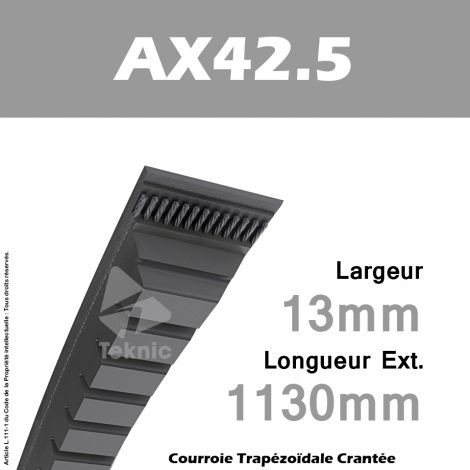 Courroie AX42.5 - Continental