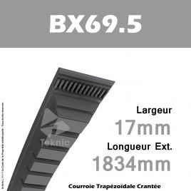 Courroie BX69.5 - Continental