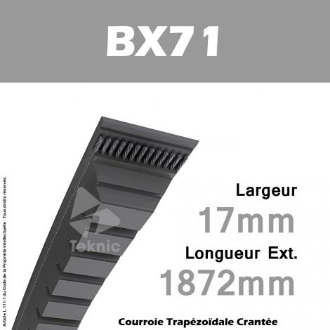 Courroie BX71 - Continental