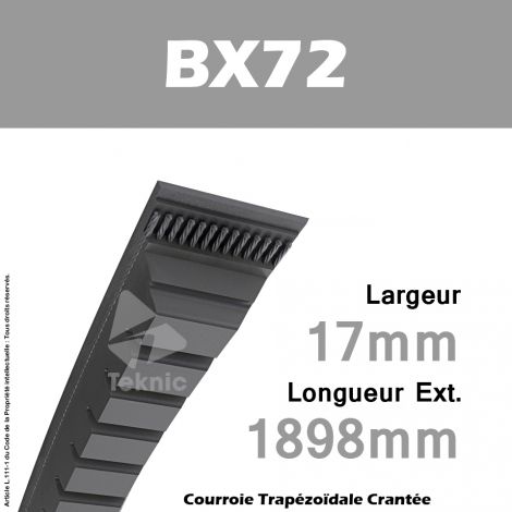 Courroie BX72 - Continental