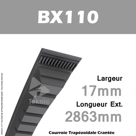 Courroie BX110 - Continental