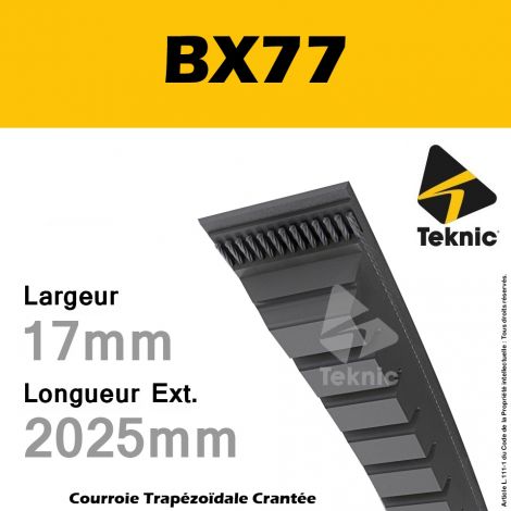 Courroie BX77 - Teknic