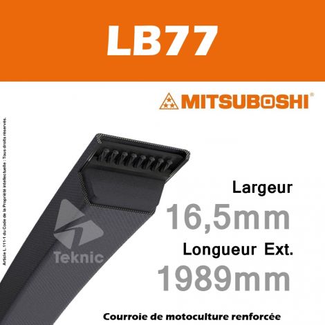 Courroie Mitsuboshi LB77