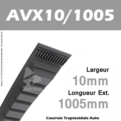 Courroie AVX10/1005 - Continental