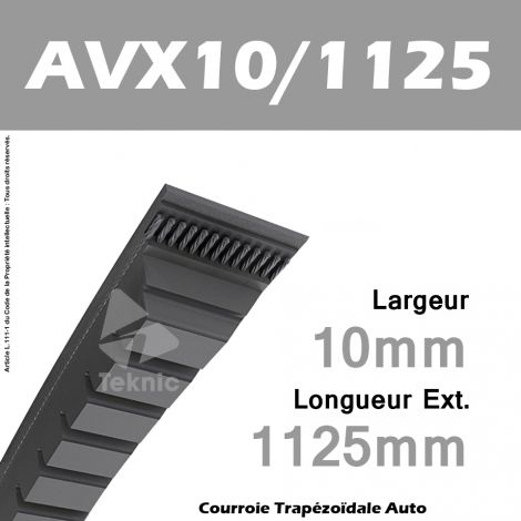 Courroie AVX10/1125 - Continental