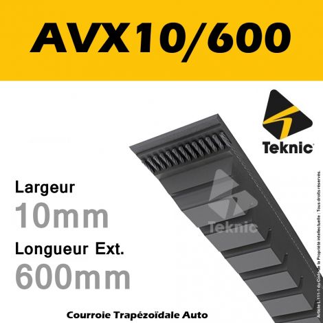 Courroie AVX10/0600 - Teknic