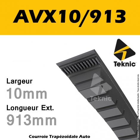 Courroie AVX10/0913 - Teknic