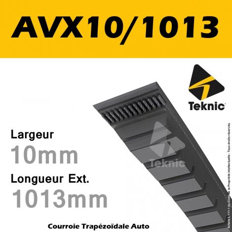 Courroie AVX10/1013 - Teknic