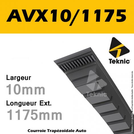 Courroie AVX10/1175 - Teknic