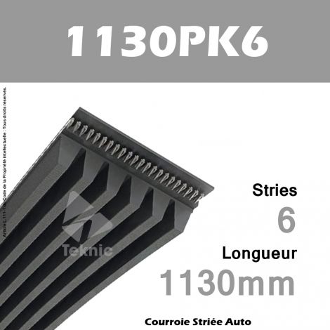 Courroie Poly-V Auto 1130PK6 - Continental