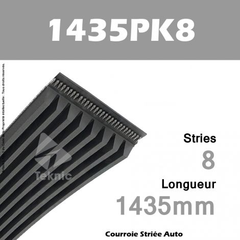 Courroie Poly-V Auto 1435PK8 - Continental