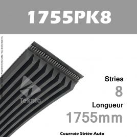 Courroie Poly-V Auto 1755PK8 - Continental