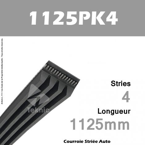 Courroie Poly-V Auto 1125PK4 - Continental