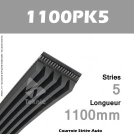 Courroie Poly-V Auto 1100PK5 - Continental