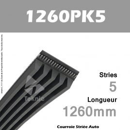 Courroie Poly-V Auto 1260PK5 - Continental