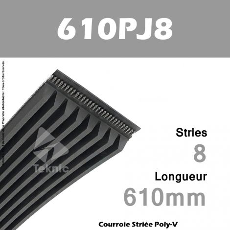 Courroie Poly-V 610PJ8 