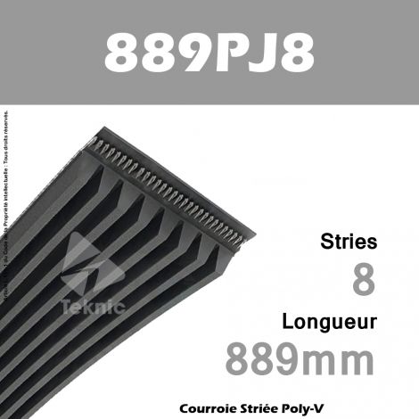 Courroie Poly-V 889PJ8