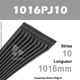 Courroie Poly-V 1016PJ10 