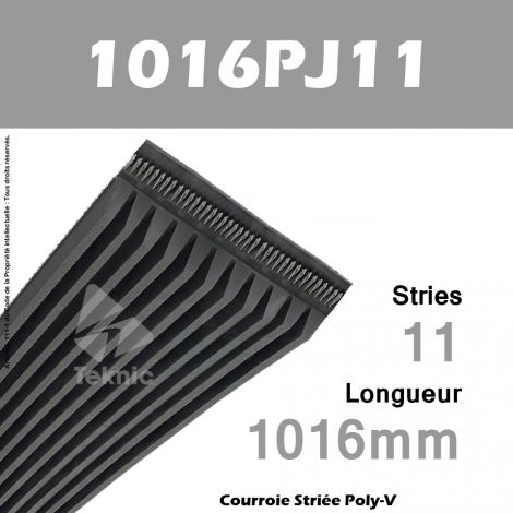 Courroie Poly-V 1016PJ11 