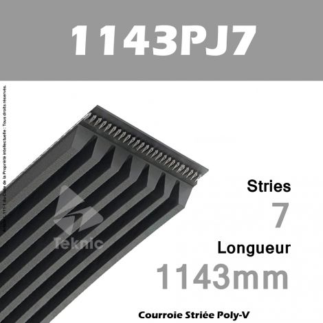 Courroie Poly-V 1143PJ7