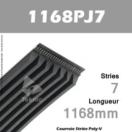 Courroie Poly-V 1168PJ7