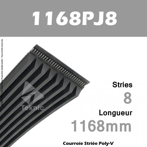 Courroie Poly-V 1168PJ8 