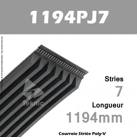 Courroie Poly-V 1194PJ7 