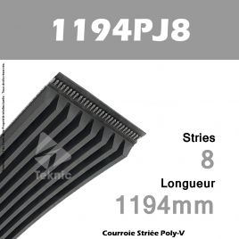 Courroie Poly-V 1194PJ8 