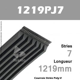 Courroie Poly-V 1219PJ7