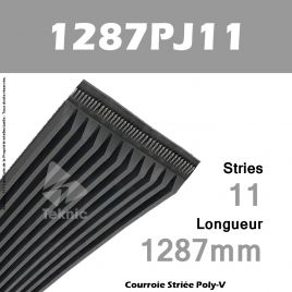 Courroie Poly-V 1287PJ11