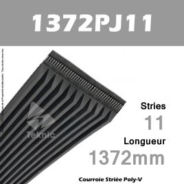 Courroie Poly-V 1372PJ11