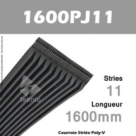 Courroie Poly-V 1600PJ11