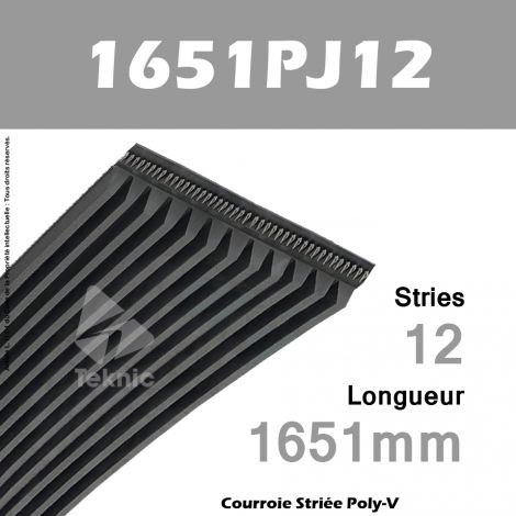 Courroie Poly-V 1651PJ12