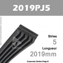 Courroie Poly-V 2019PJ5