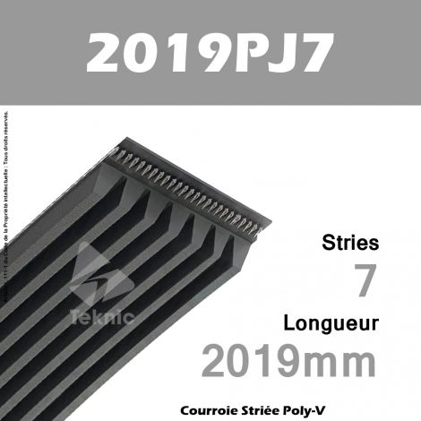 Courroie Poly-V 2019PJ7