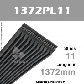 Courroie Poly-V 1372PL11 - Continental