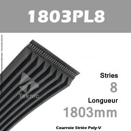 Courroie Poly-V 1803PL8 - Continental