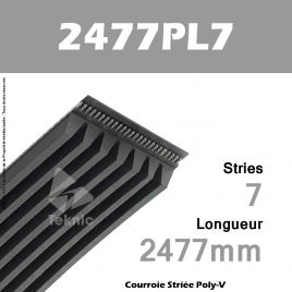 Courroie Poly-V 2477PL7 - Continental