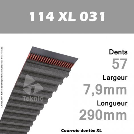 Courroie Dentée 114 XL 031