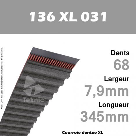 Courroie Dentée 136 XL 031