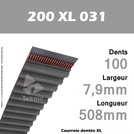 Courroie Dentée 200 XL 031