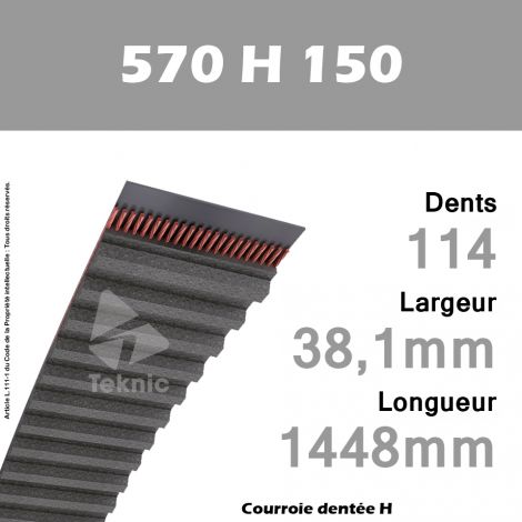 Courroie Dentée 570 H 150