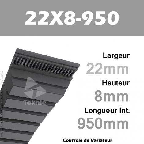 Courroie de Variateur 22X8-950 Li