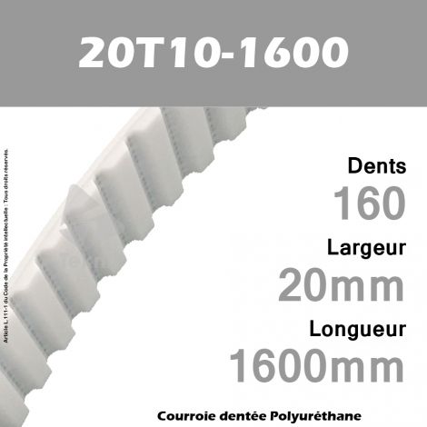 Courroie Dentée PU 20T10-1600