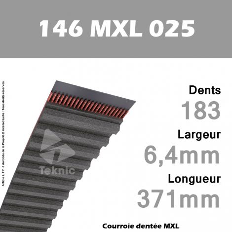 Courroie Dentée 146 MXL 025