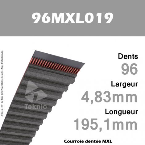 Courroie Dentée 96 MXL 019